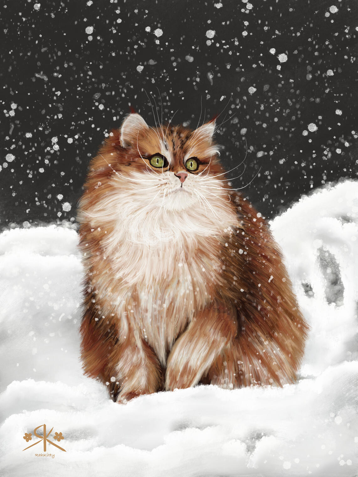 Pet portrait, simple background