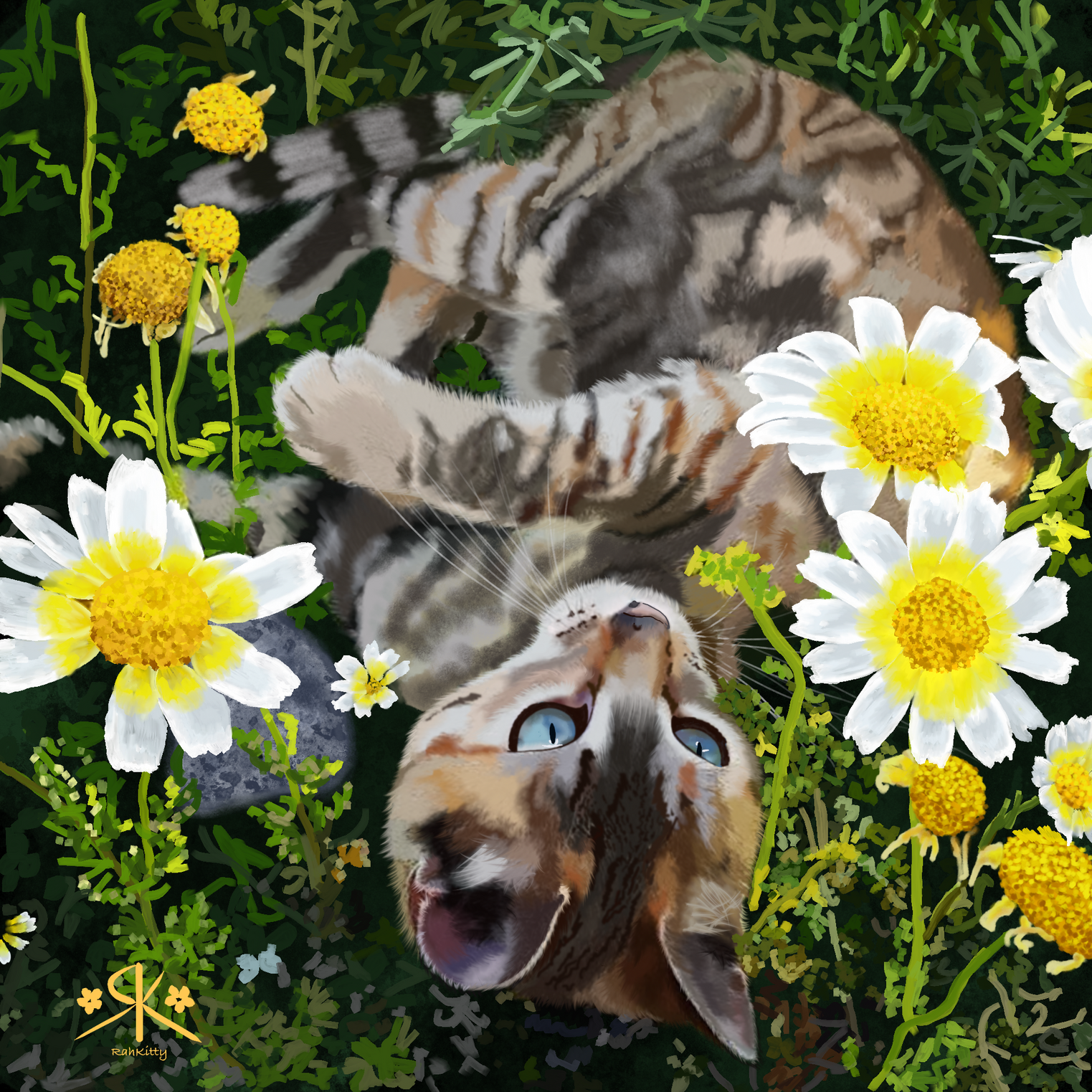 Pet portrait, complex background