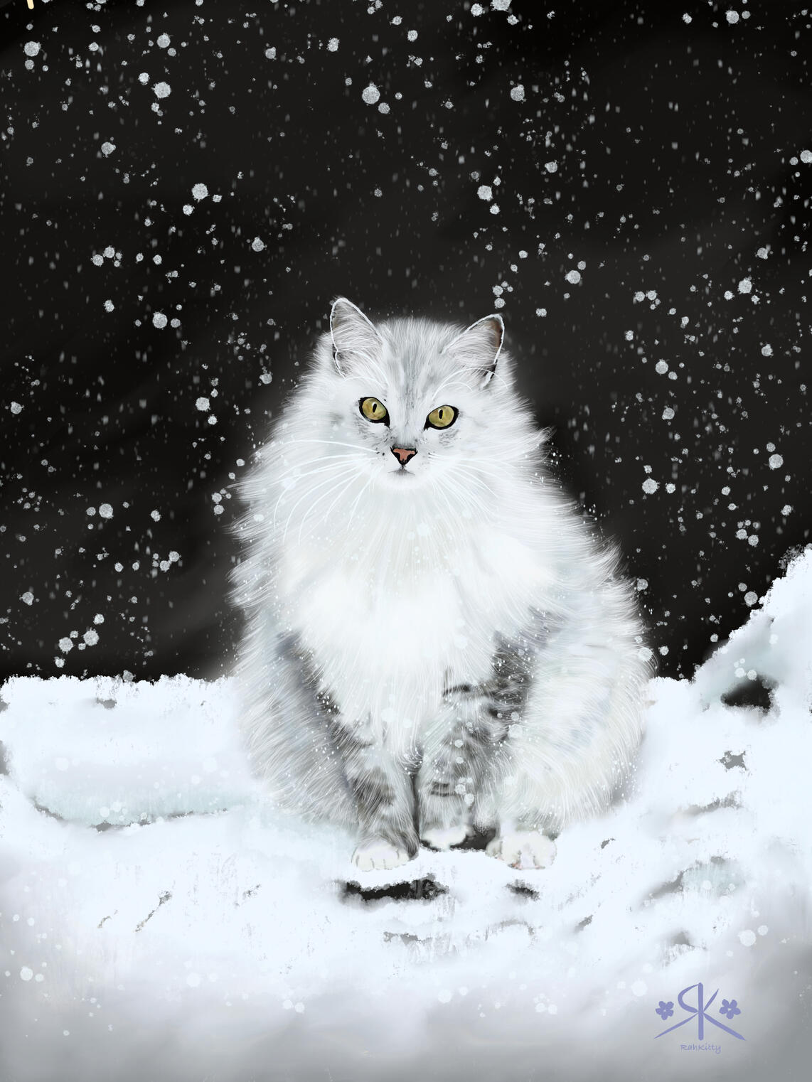 Pet portrait, simple background
